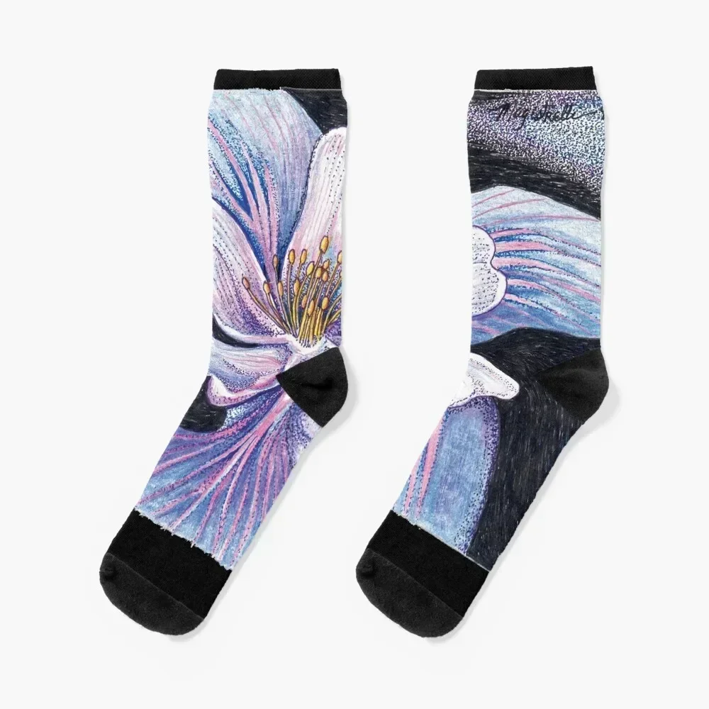 Blue Columbine Flower (Genuflection to O'Keeffe) Socks set essential Male Socks Women's