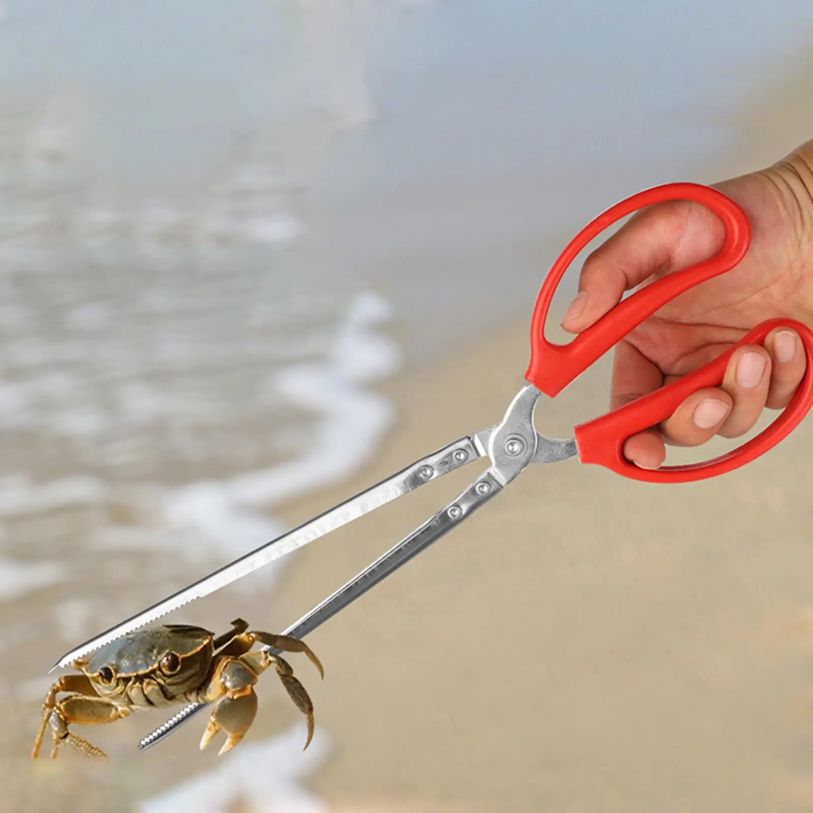 stainless-steel-beachcombing-tools-set-clip-portable-outdoor-picker-tool-kit-clam-digger-rake-folded-bucket