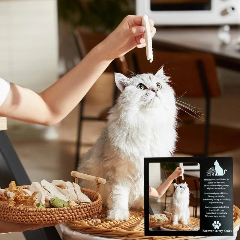Pet Memorial Gift Photo Frame for Loss of Dog Cats Sympathy Gift Remembrances Gift Picture Frame Bereavement Gift top sale