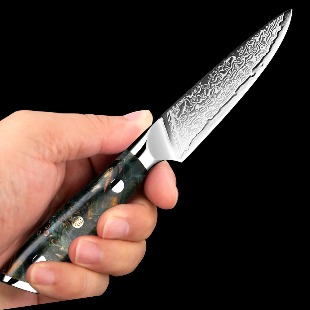 Paring knife 3.5inch sharp fruit utility knife-Japanese VG-10 super steel 67 layer Damascus steel knife-for carving and peeling