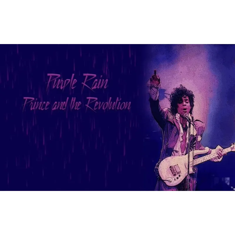 107 Home Decor Prince Hot Super Music Star 1-Silk Art Poster Wall Sicker Decoration Gift