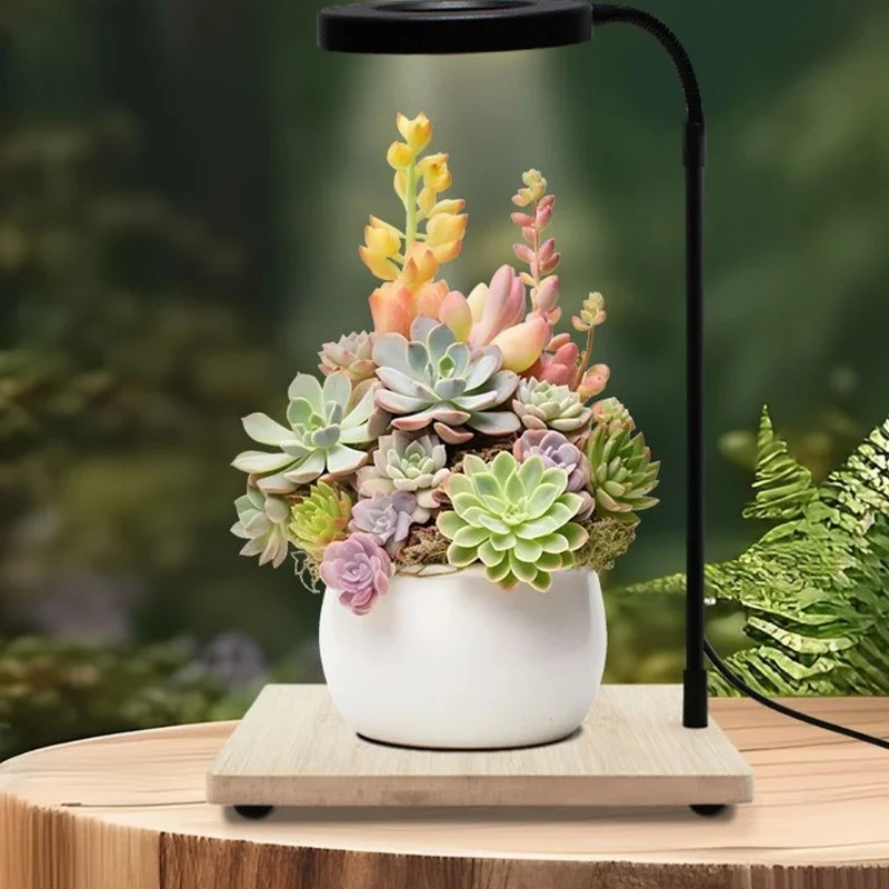 5 واط LED ضوء النبات مع قاعدة خشبية لخزانات الأسماك ومرابي الحيوانات الدورية شاشة ليد بطيف كامل الإضاءة USB تعمل مصباح #4