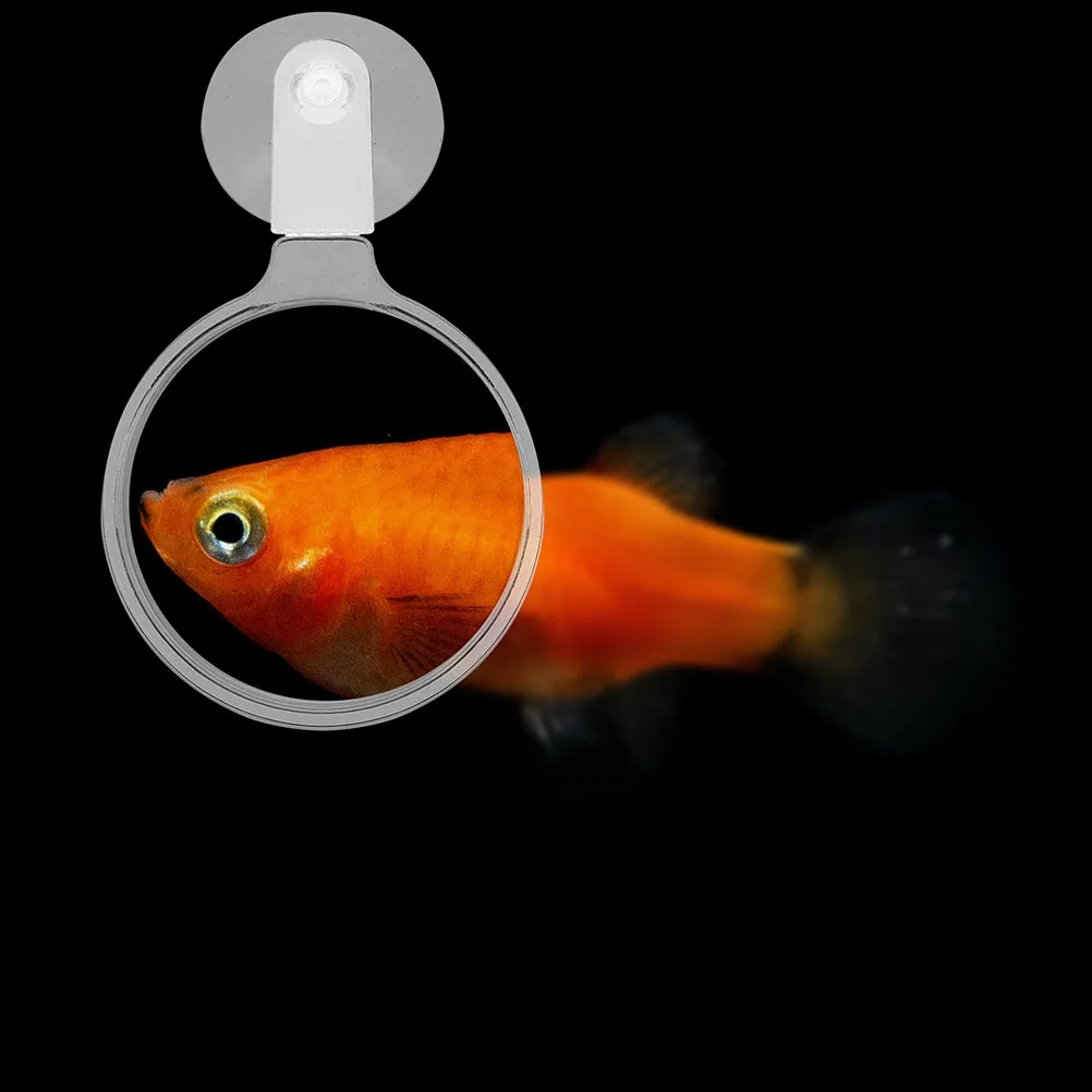 

4pcs Fish Tank Magnifying Glass With Suction Cup Acrylic Viewer For Ants Spiders Micro Landscapes Clear Observation Tool