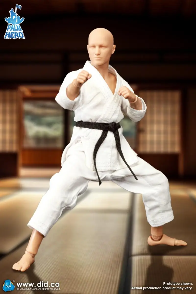 

DID SF80001 1/12 Scale Male Soldier Karate Player with unpaint Face Workout Head Body Suit Clothes and Belt 6" Action Figure