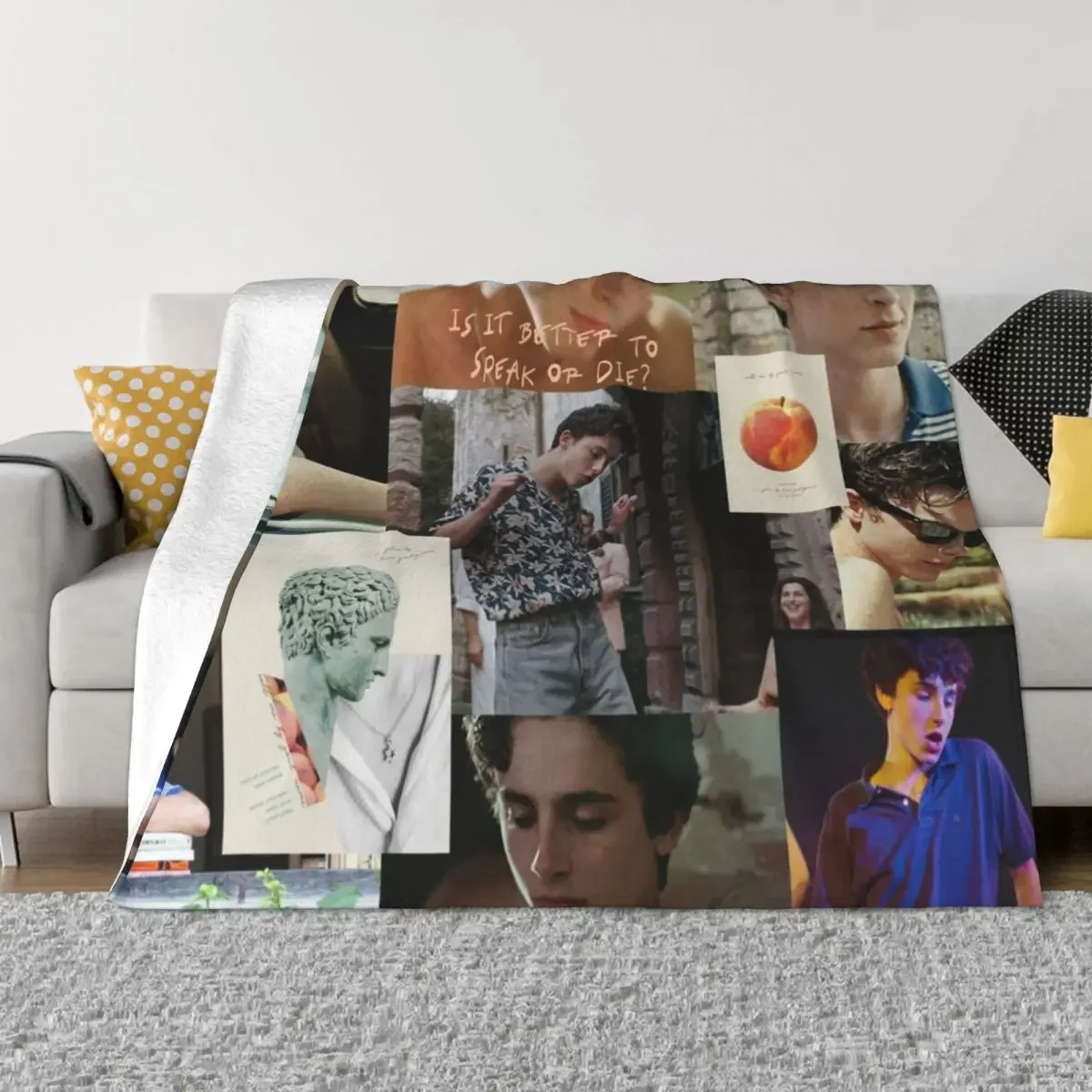 Timothee Chalamet - Elio Perlman Call Me By Your Name Throw Blanket Extra Large Throw Decorative Throw cosplay anime Blankets