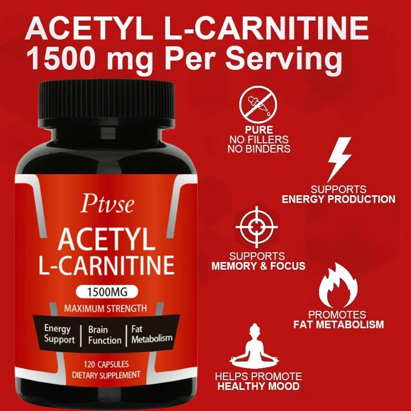 Acetyl L-Carnitine Capsule Supports Memory Focus Increase Body Performance Metabolic Energy Fitness Exercise Dietary Supplement