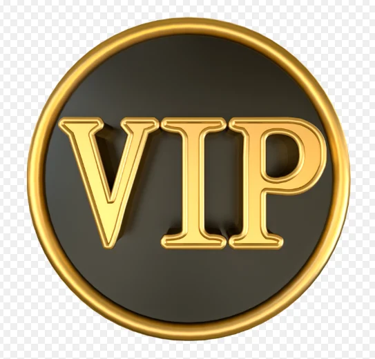 

VIP Customer customized product link2