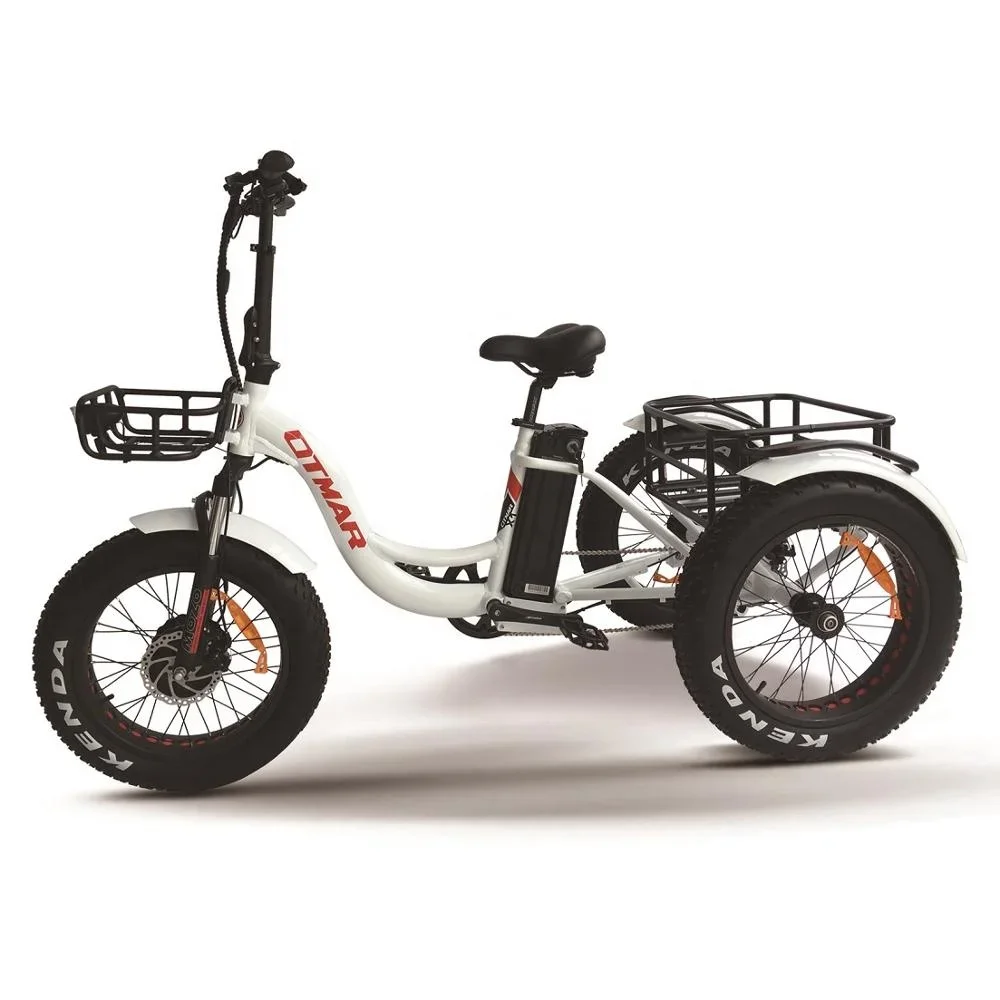 2024 Hot Sale Cargo Electric Tricycle 48V Front Hub Motor 3 Wheel Fat Tire Electric Mountainbike