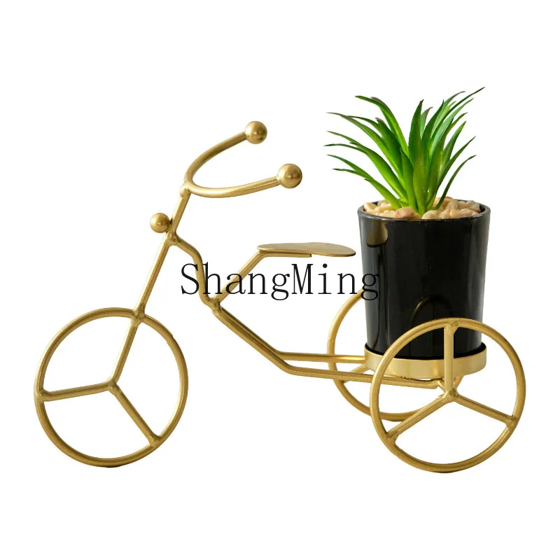 

DSA decoration potted plant home light luxury wrought iron restaurant simple creative decoration living room porch round