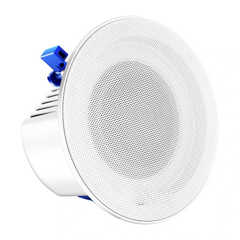 

Ceiling speaker constant resistance coaxial bluetooth audio ceiling subwoofer embedded home speaker