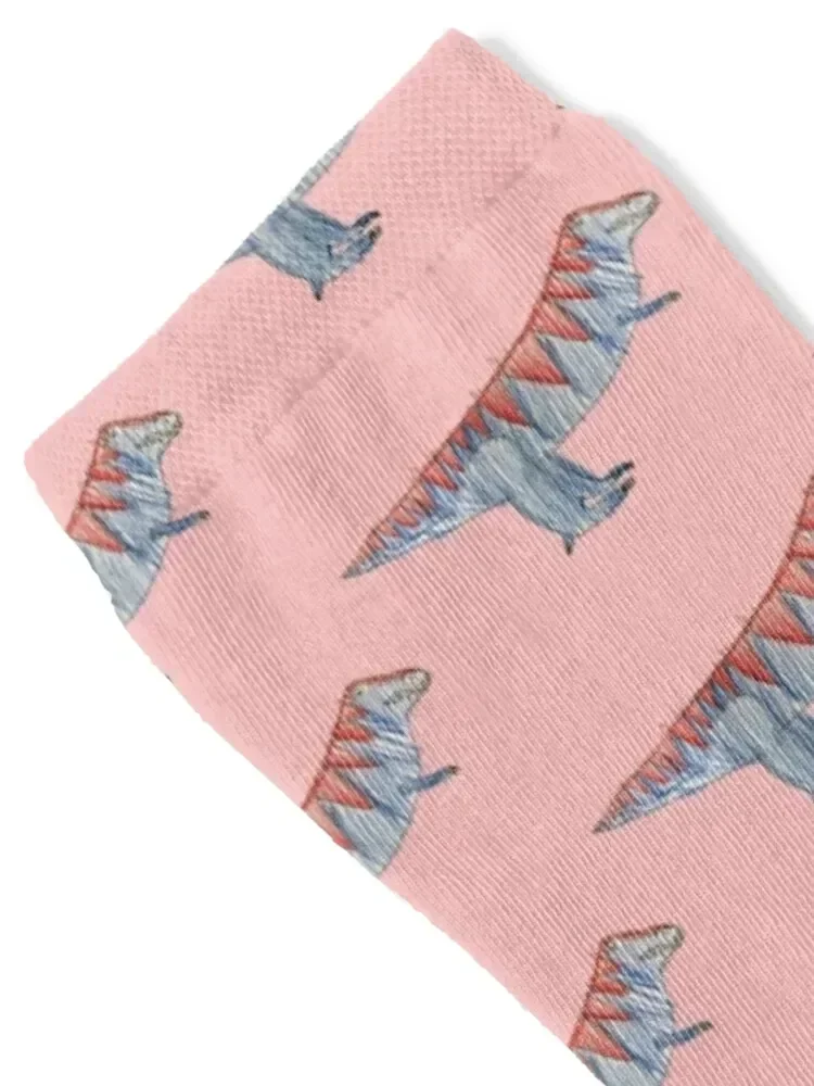 Calzini T-Rex Dinosaur ROSA Calzini riscaldati da pavimento professionali da calcio per donna e uomo