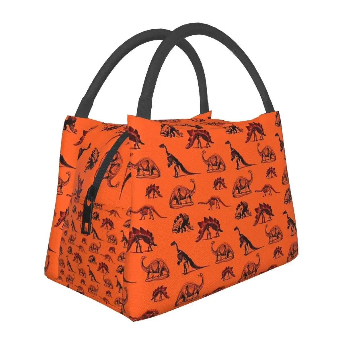 Vintage Museum Dinosaurs (smaller Version) Lunch Bags Insulated Bento Box Picnic Bags Cooler Thermal Bag for Woman Kids Work