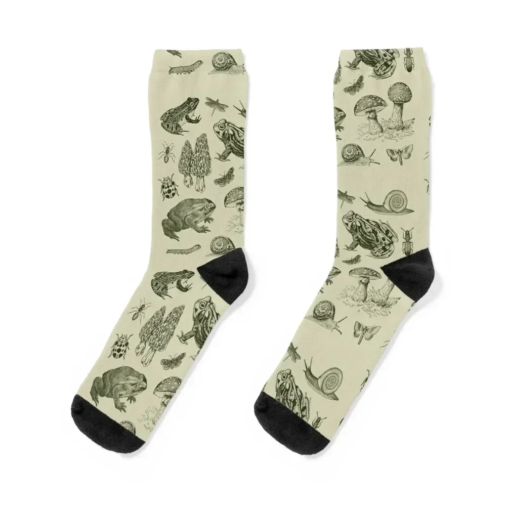 

Goblincore Nature Lovers: Vintage Biology of Frogs, Mushrooms, Snails, and Moths for Science and Natural History Fan Socks