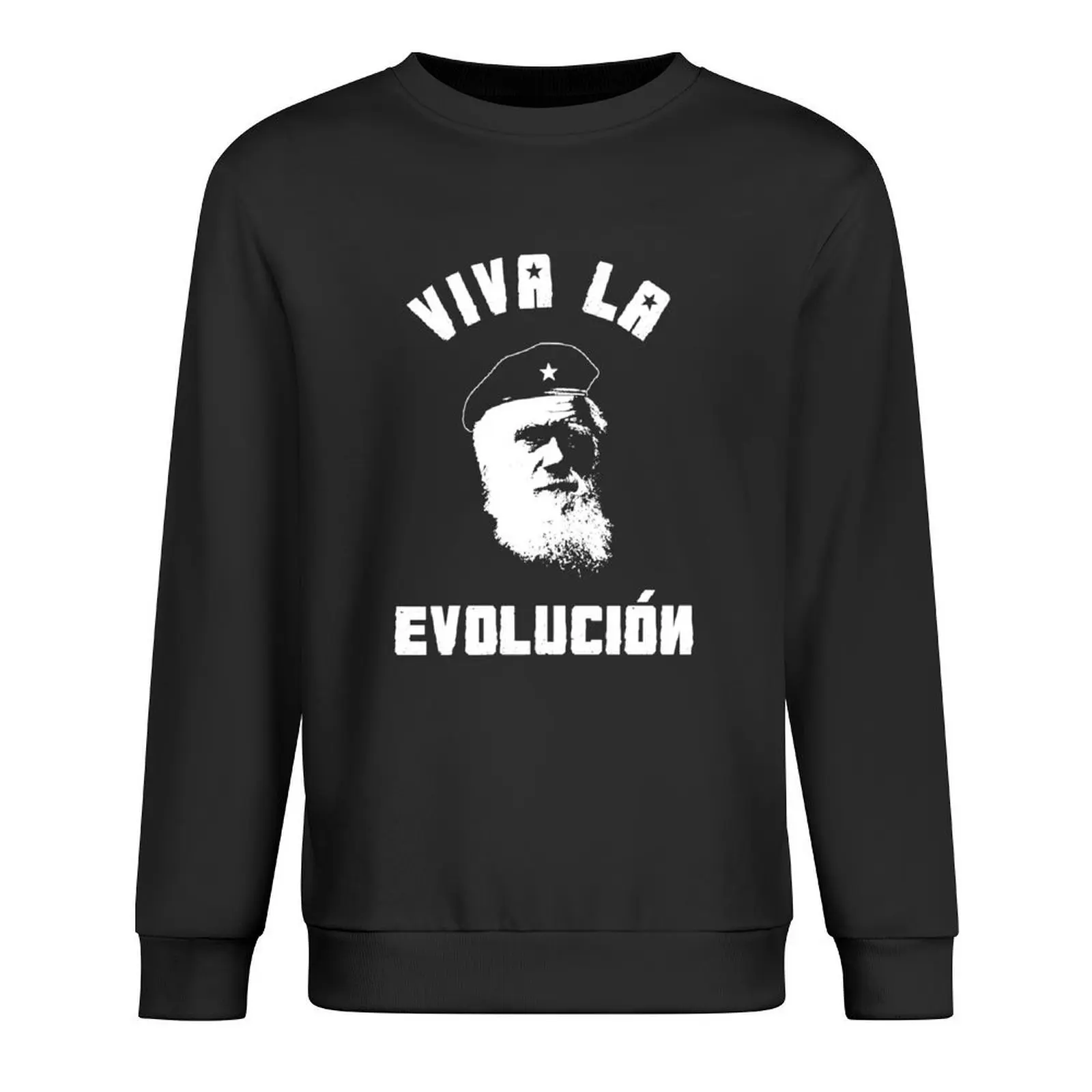 

VIVA LA EVOLUCION EVOLUTION Pullover men's sweat-shirt set men wear mens clothes japanese style new sweatshirt