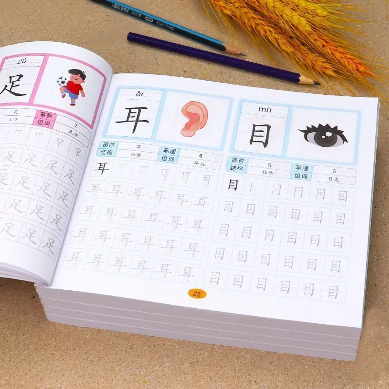 

Chinese Characters Pre-School 600-word Calligraphy 4 Books Didactic Book for Children Practice Kids Early Education Painting Art