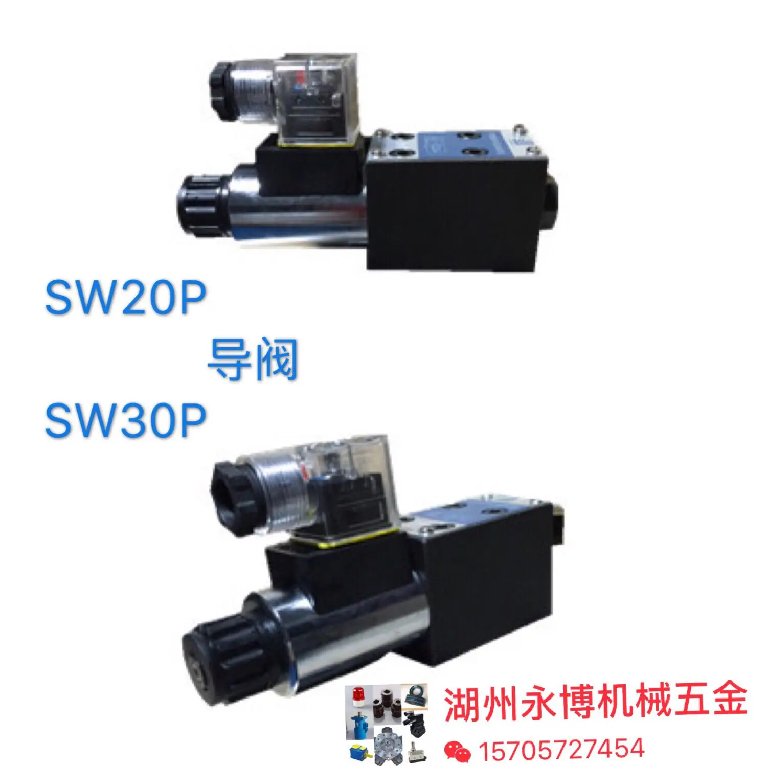 Injection Molding Machine Parts Melt Glue Valve Pre-molding Valve SW20P, SW30P Pilot Valve Pilot Valve Small Solenoid Valve