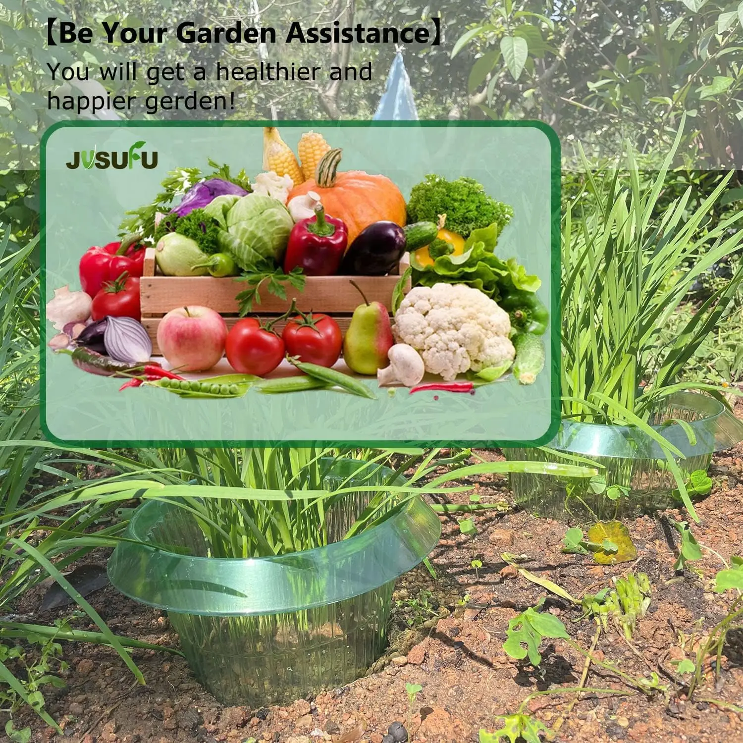 1/30 adet Bitkiler Sümüklüböce - Vegetable Transplanter incelemesi ve fiyatı
