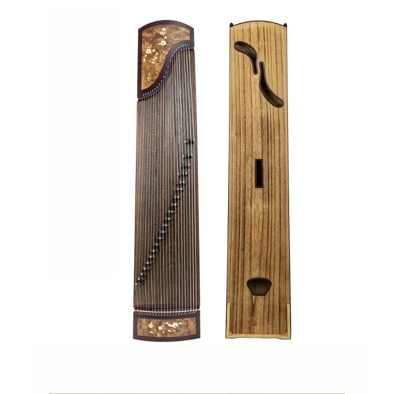 Art exam performance major test level 10 adult beginner entry red sandalwood guzheng piano