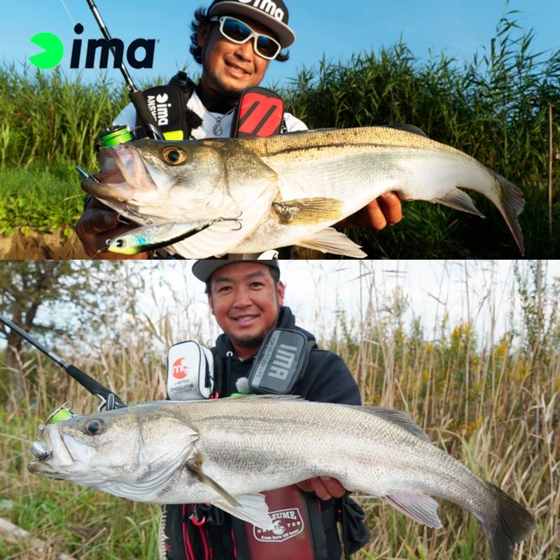 IMA Japan Imported Imalua Bait CHAPPY Series 12g80mm 18g100mm Surface Bait Pencil Ringing Bead Sound