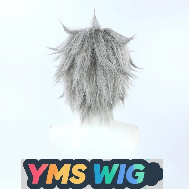 【Peluca YMS】Peluca de Cosplay de neón Genesis Evangelion EVA Nagisa Kaworu, corte de pelo gris con rizo inverso para hombres