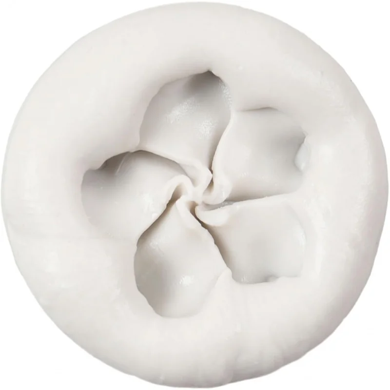 فرانجيباني بلوميريا زهرة سيليكون فندان قوالب كب كيك توبر كعكة الشوكولاته الديكور الحلوى السكر بوليمر كلاي غو