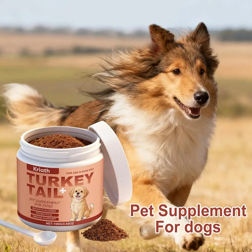 Complément alimentaire pour soutenir l'immunité des chiens – Défense immunitaire quotidienne, favori
