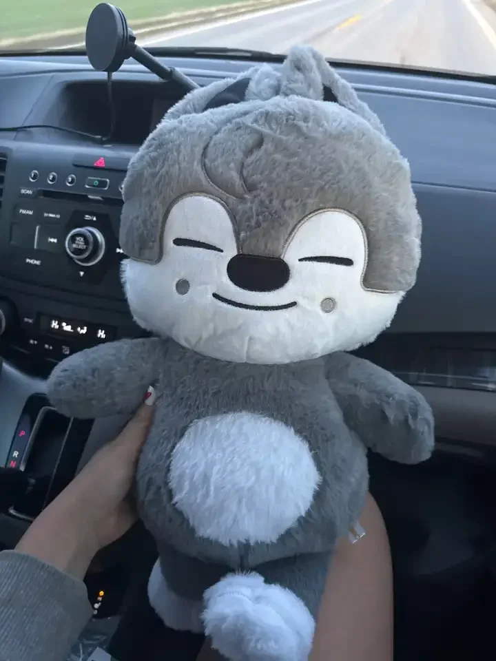 

23-50 см Kpop Skzoo, плюшевая детская игрушка, кавайная мультяшная плюшевая кукла, большой размер, детская подушка для сна, подарок