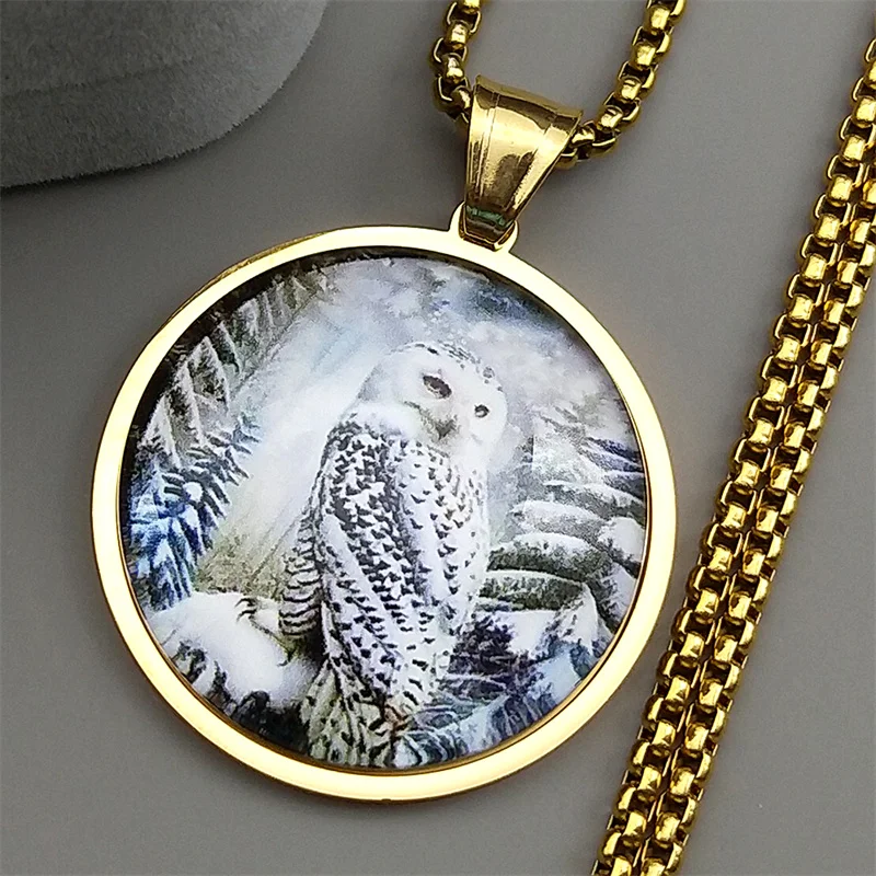 Geheimnisvolle Schneeeule Runde Glas Medaille Anhänger Halskette Für Frauen Männer Edelstahl Gold Farbe Foto Tier Kette Schmuck – Detail 4