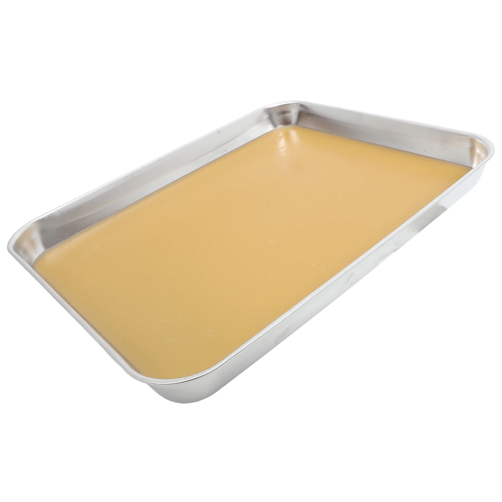 

Anatomy Tray Dissecting Plate with Wax Dissection Pan Experiment Equipment Stainless Steel Small Trays