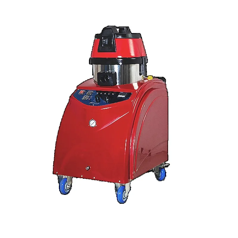 High Temperature Steam Cleaner for Bed Bugs Cleaning