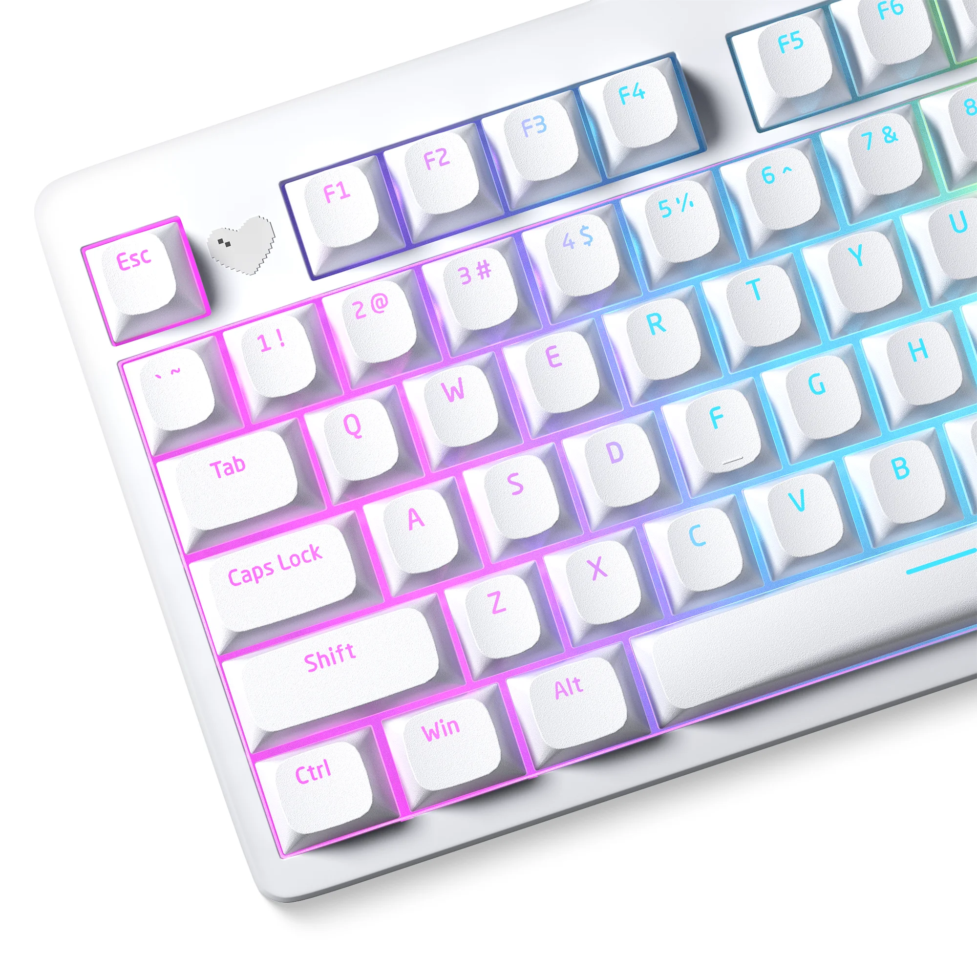 

QBYI Horizon Line Pudding Keycaps Shine Through PBT Key Cap Set for Mechanical Keyboard Black and White 117 Keys Keycaps