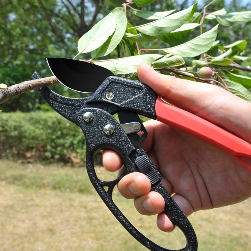 Ergonomic Pruning Shears - Titanium-Plated SK5 Steel, Quick Efficient Cuts, Labor-Saving Spring, For Garden And Fruit Harv