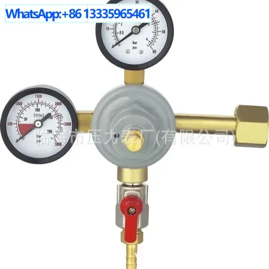 

N2-10 Wholesale Cross All Copper Oxygen Hydrogen Helium Pressure Reducing Valve High Pressure Nitrogen Reducer Manufacturer