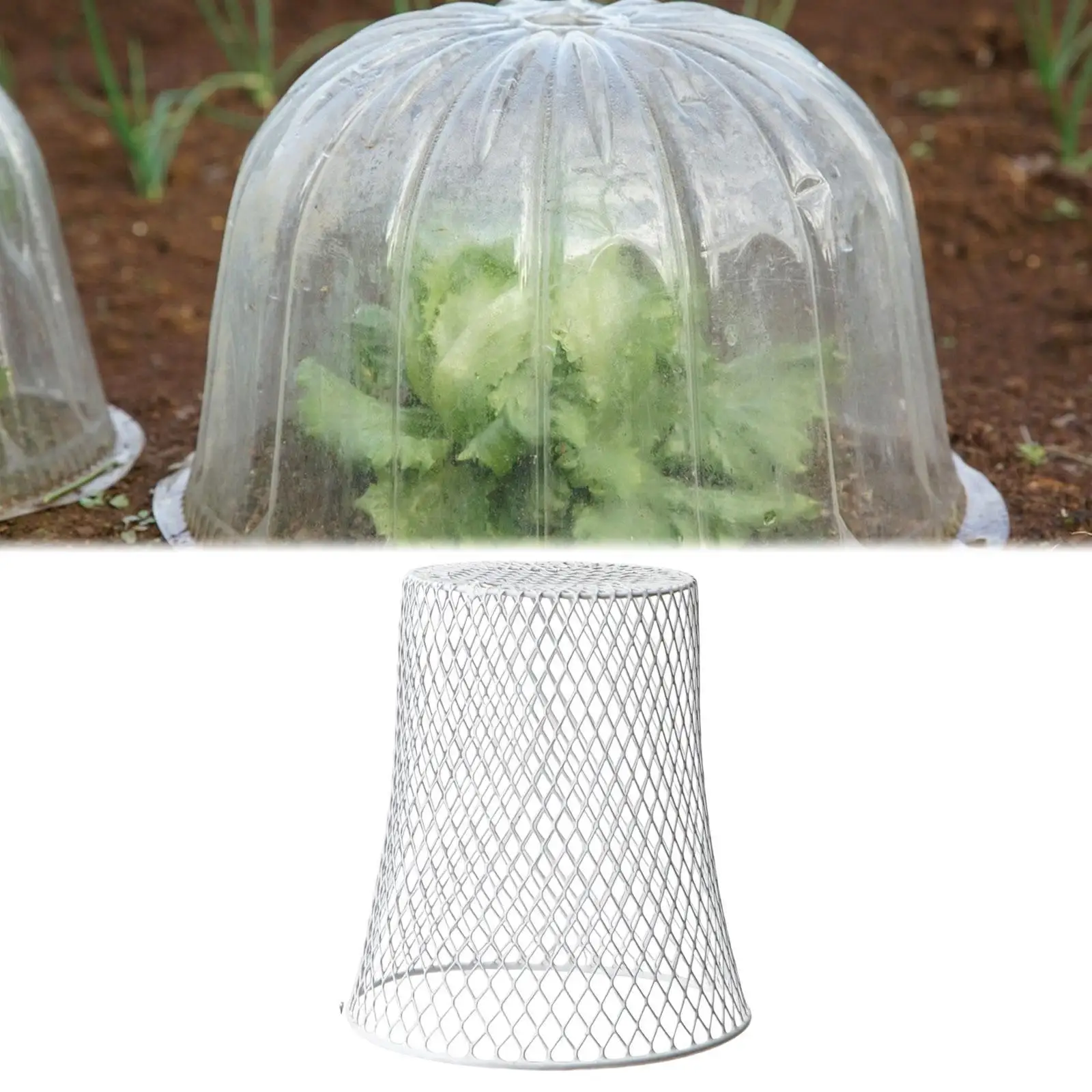 Plant Cover Plant Care Protection Gardener Heavy Duty Versatile Reusable Metal Vegetables Fruits Garden Plant Cloche Wire Cloche