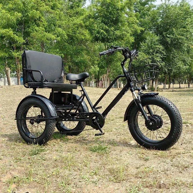 20 Inch Fat Tire Electric Tricycle Heavy Duty Load Cargo & Passenger Multifunctional 3 Wheel City Delivery E Bike