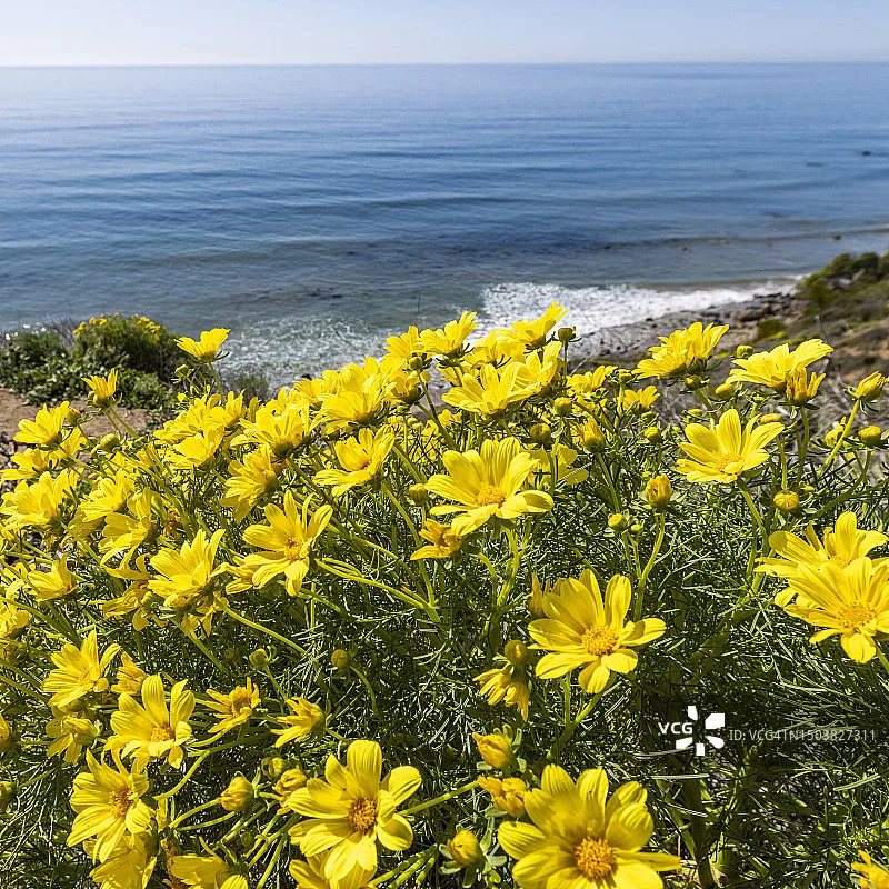 Matek PDB-HEX Power…