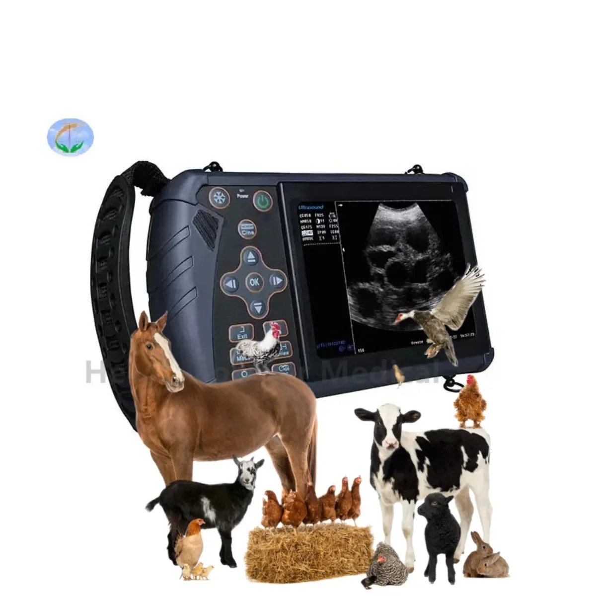 

Cheap Price Medical Ultrasound Scanner Digital Handheld Portable Veterinary 3d 4d Ultrasound Machine For Animal