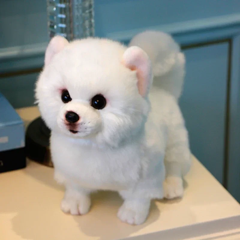 จําลองตุ๊กตาสุนัข Pomeranian ตุ๊กตาตุ๊กตาสัตว์ของเล่น Super ของเล่นสุนัขที่สมจริงสําหรับคนรักสัตว์เลี้ยงตกแต่งบ้าน Kawaii Room Decor