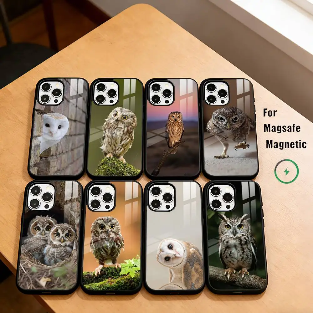 

C-Cute and gentle owl Phone Case For iPhone17,16,15,14,13,12,11 Plus,Pro Magnetic For Magsafe Wireless Charging