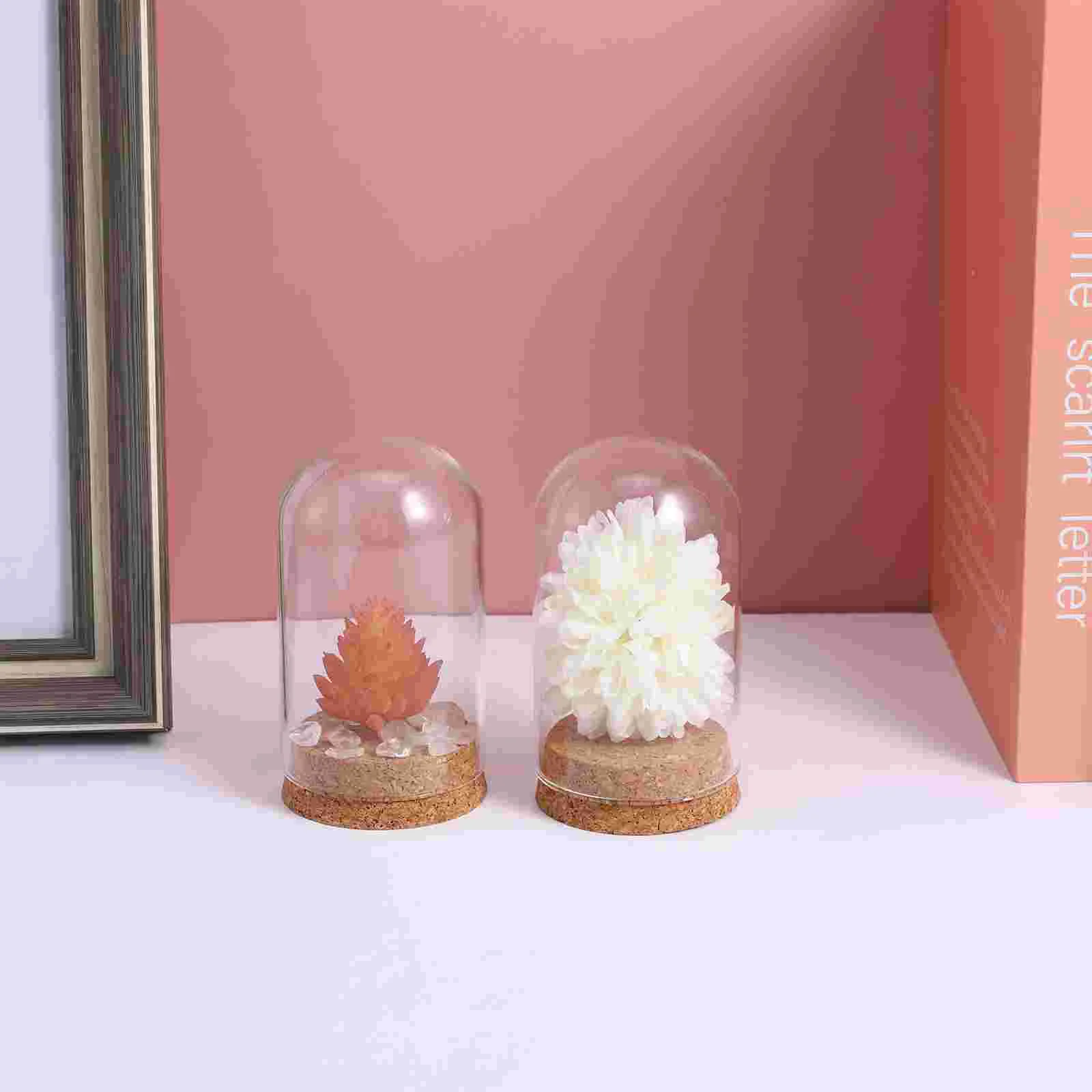 5 Pcs Cork Glass Cover Clear Dome Eternal Flower Immortal Micro Landscape Display Sunflower Decorations The Bell Jar