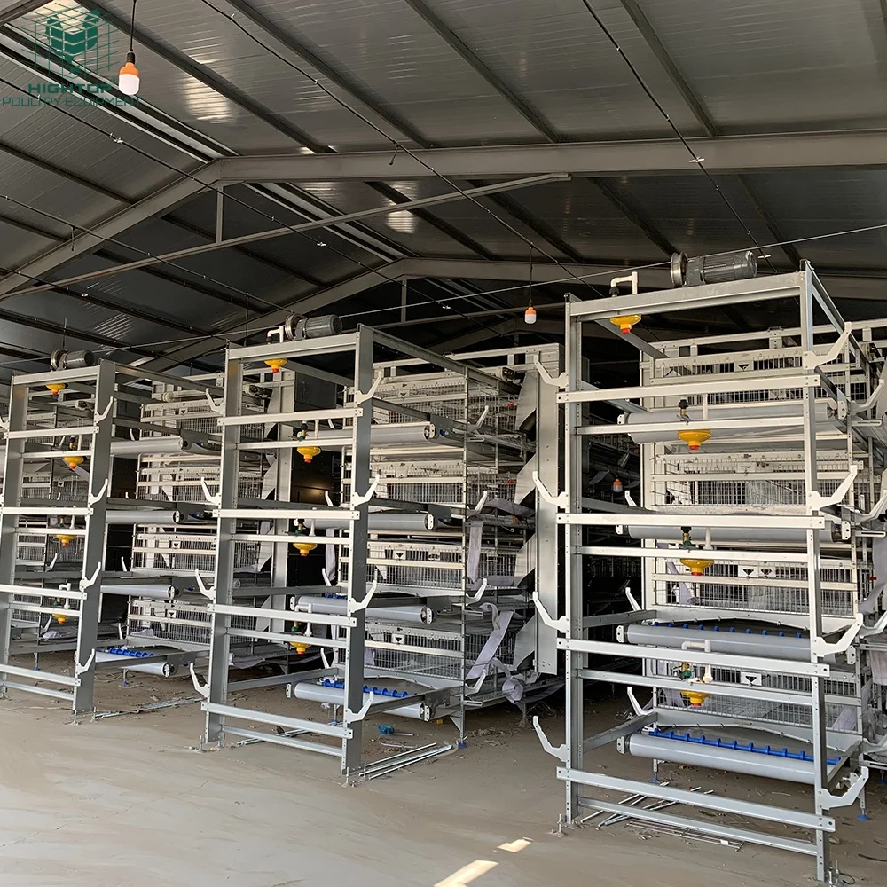 Hightop Complete Automatic Egg Layers Chicken Cage Large H Shaped Battery Chicken Poultry Cage for 30000 50000 Layers House