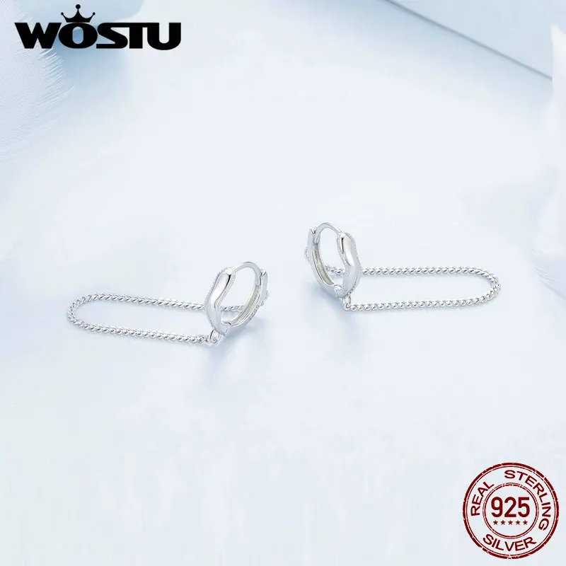 WOSTU 925 Sterling Silver Tassel Earrings with Zircon for Women Outfit Fashion Classic Gift Wedding Party Fine Jewelry 9.5mm