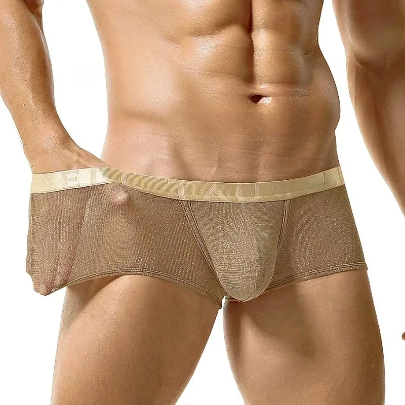 

Men's Boxy Underwear Gay Sexy Low-rise U Convex Pouch Boxer Shorts Elastic Shiny Mesh Breath Transparent Quick Dry Comfort Trunk