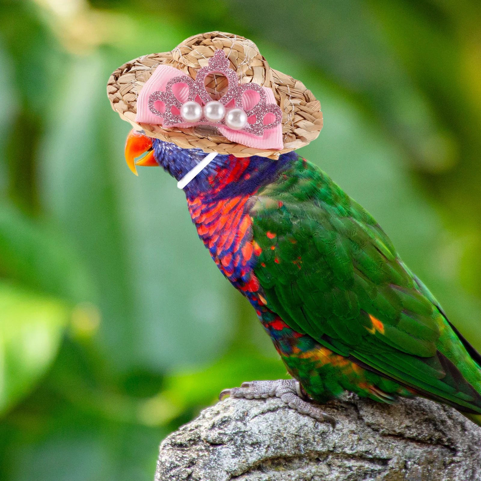 

2Pcs Tiny Pet Hats Straw Sun Protection Chicken Parrot Accessories Tea Party Dress Up Cosplay Fun Durable Material