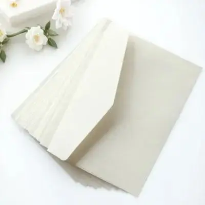

100Pcs Paper Envelopes Classic Business Letter Packaging Envelops for Document Storage Cards Cash Money Envelopes Office File