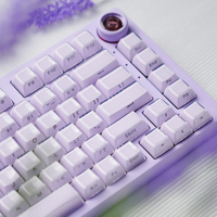Womier Purple Clear Side Printed Custom Keycap Crystal Jelly Keycaps 113 Key OEM Profile for Cherry MX Switches Gaming Keyboard
