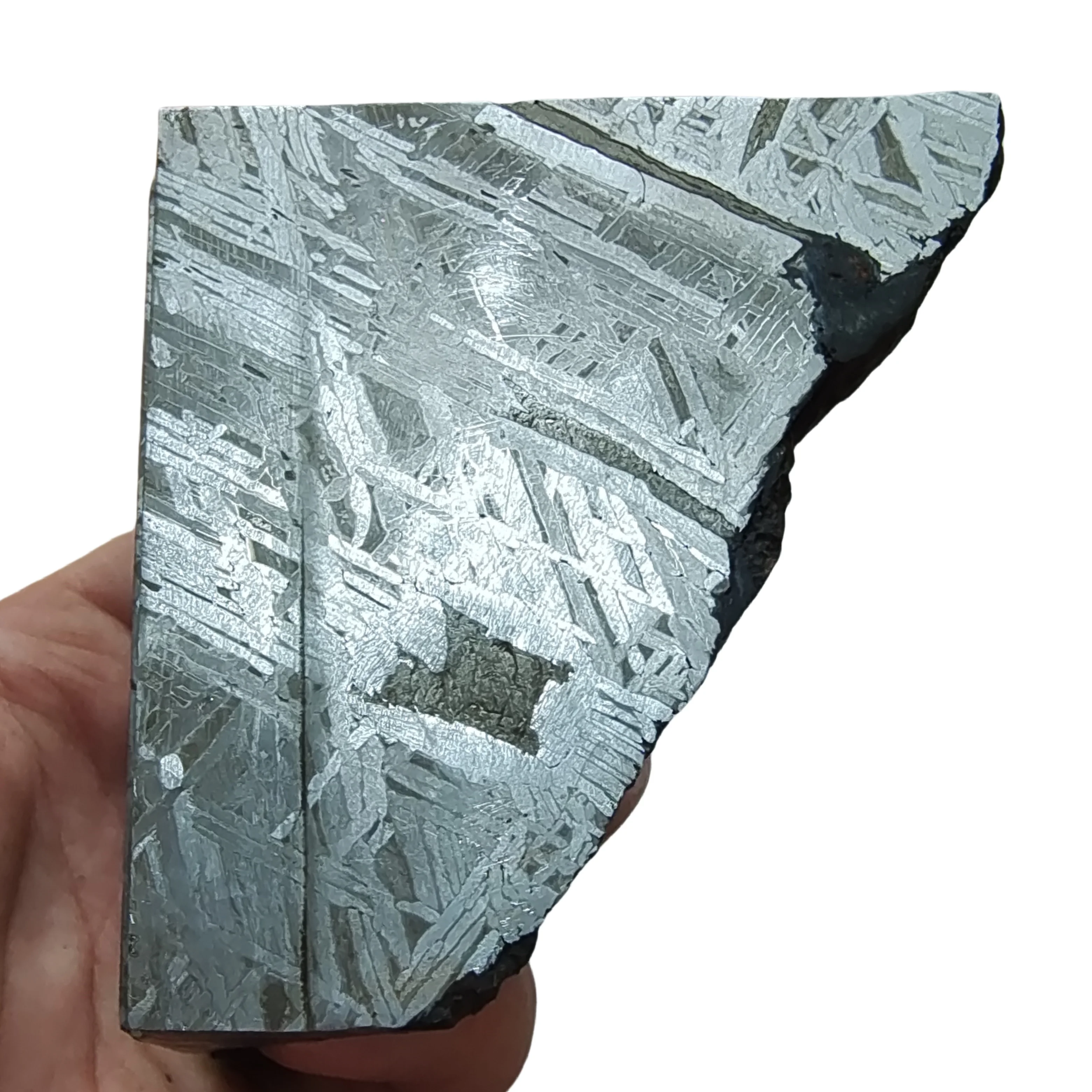 

1025 г Kawałek метеорита Muonionalusta Образец натурального железного метеорита Коллекция ломтиков метеорита -TC611