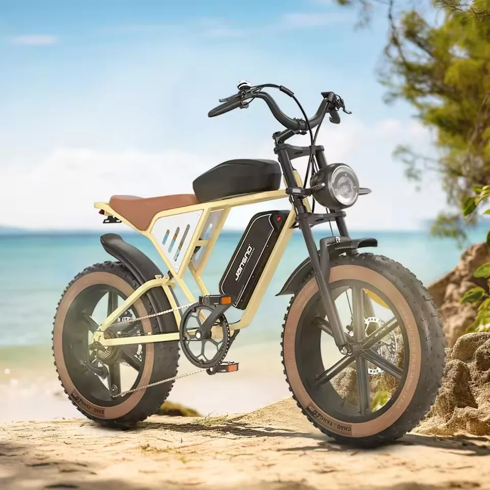 

JANSON X70 E-Bike 750W Dual Motor 48V20AH Battery 20 Inch Wide Tire Adult Mountain Electric Bike