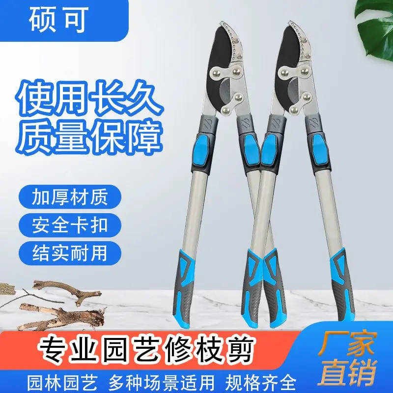 Fruit tree pruning, cutting thick branches, vigorously cutting branches, special scissors for branch extension, strong scissors