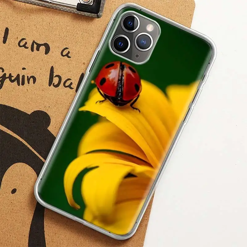 Insect Seven-star ladybug Painted Colourful Case for iPhone 12 13 Mini 14 Plus 15 16 Pro Max 11 X XS Max Clear TPU Prot